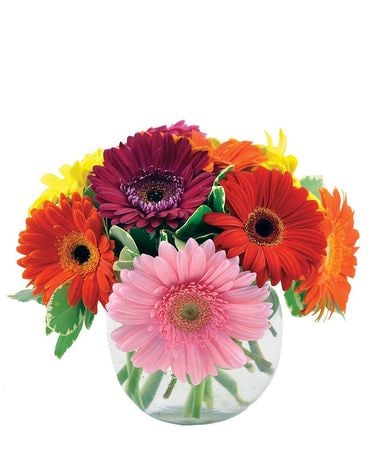 Dizzie Daisies Flower Arrangement