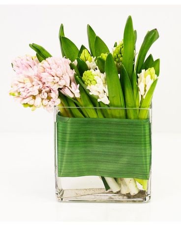 Fragrant Hyacinth Flower Arrangement