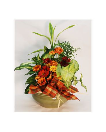 Dish Garden Fall Dish Garden Plant
