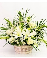 Deluxe size,  inches height and  inches wide.