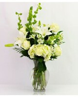 Premium size,  inches height and  inches wide.