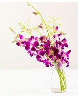 6 stems size,  inches height and  inches wide.