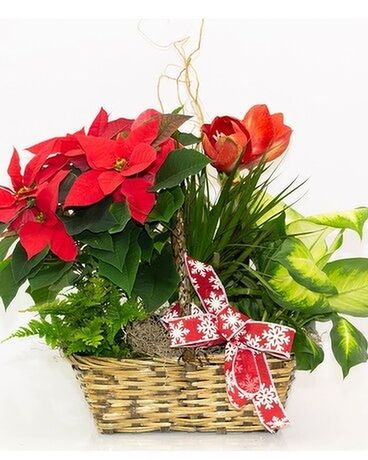 Holiday European Garden Flower Arrangement