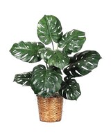 10in Wicker size,  inches height and  inches wide.