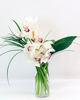 Standard - One orchid size,  inches height and  inches wide.