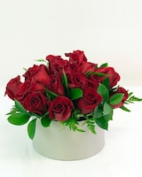 24 Red roses size,  inches height and  inches wide.