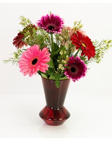 Gerbera Daisy Love Flower Arrangement