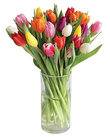 Tulips my Love Flower Arrangement