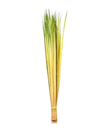 Palm Buds Flower Arrangement