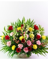 Assorted Colors size,  inches height and  inches wide.