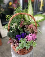 Deluxe - 10" Basket size,  inches height and  inches wide.