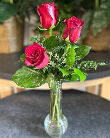 Red Rose Bud Vase