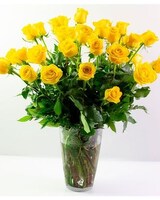 Yellow Roses size,  inches height and  inches wide.