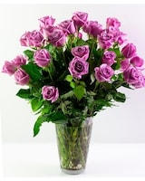 Lavender Roses size,  inches height and  inches wide.