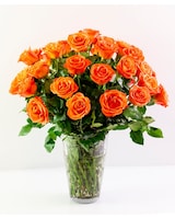 Orange Roses size,  inches height and  inches wide.
