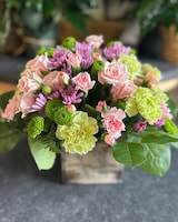 Garden Party [Free Delivery]
