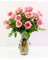 Pink Roses size,  inches height and  inches wide.