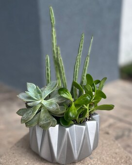 Succulent Garden Flower Arrangement