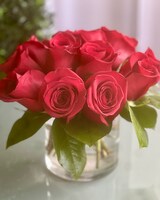 ROSE☆ROSE Contemporary Roses