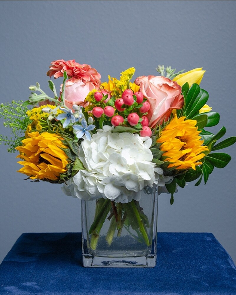 sku11410366.jpg?impolicy=hero&