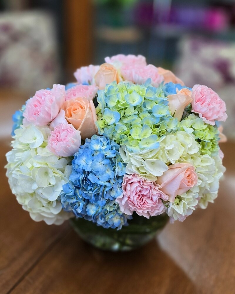 コレクション Hydrangea4937 sku13020181.jpg?impolicy=hero&