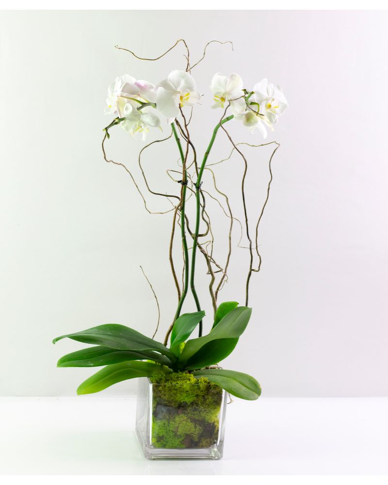 sku7190351.jpg?1595529652792&