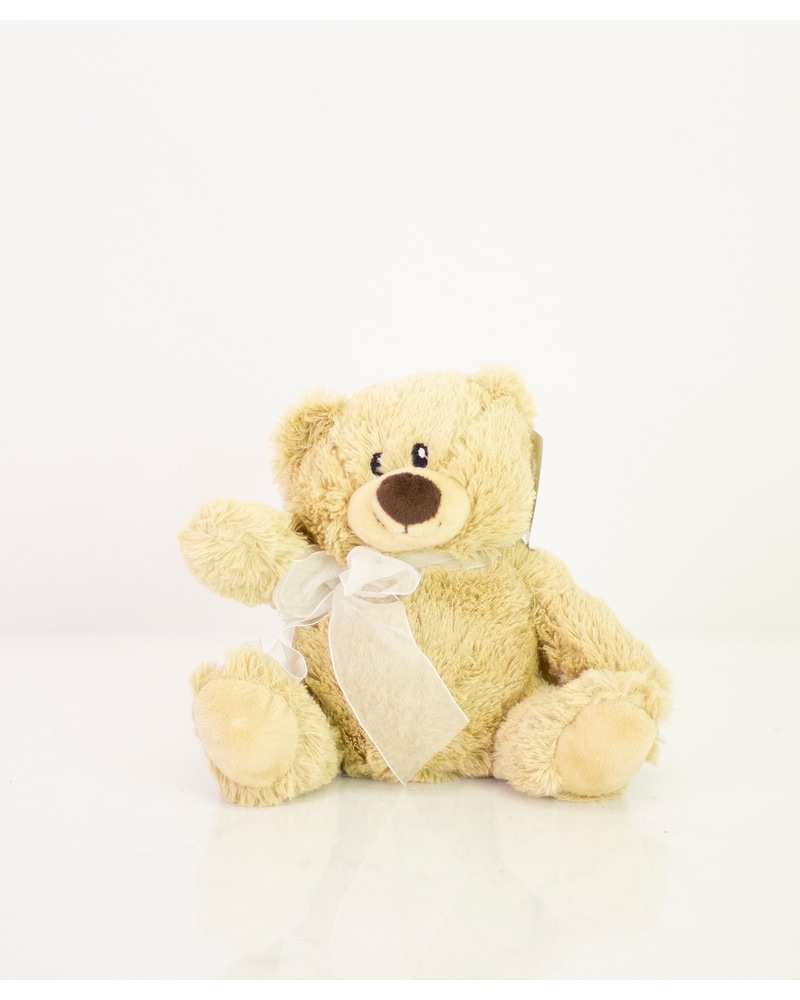 Plush Bear [With Free, Next Day Delivery]