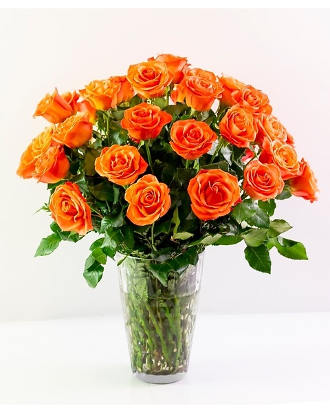 Three Dozen Roses Flower