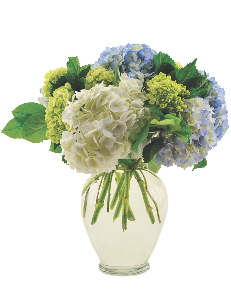 Hydrangea4936　0705 Allstate Floral 23-in Blue Indoor Desktop Hydrangea