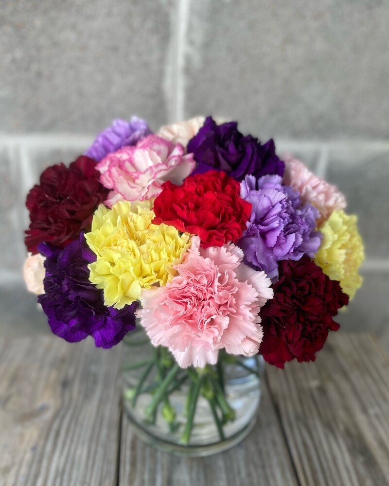 Colorful Carnation Bouquet | Delivered For Free