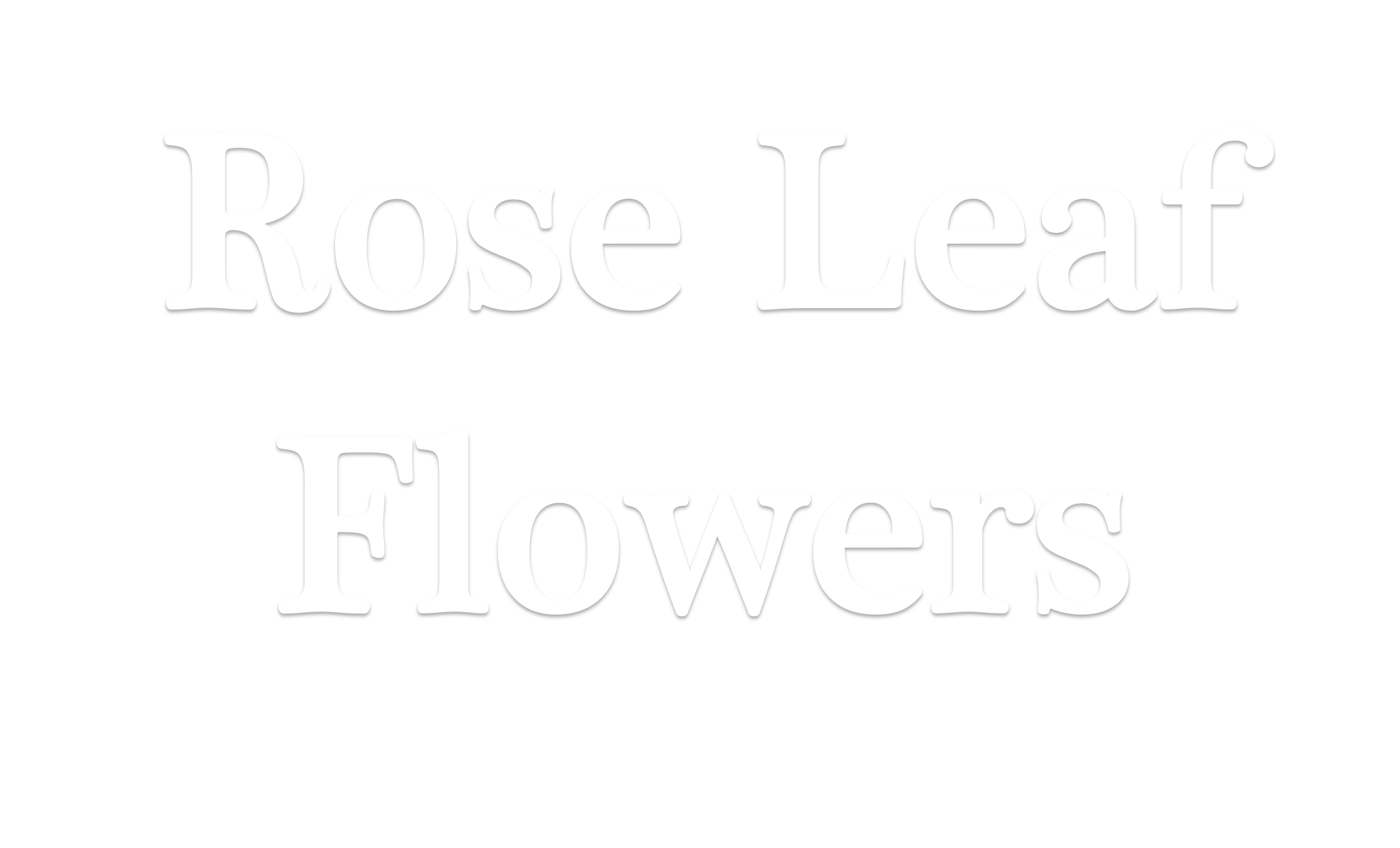 Tiffin Florist Flower Delivery By Rose Leaf Flowers