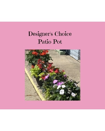 Designer's Choice ~ Patio Pot Plant