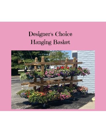 Designer's Choice ~ Hanging Basket Plant