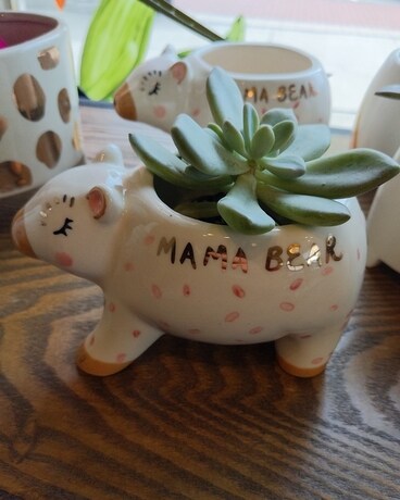 Mama Bear Succulent Plants Flower Arrangement