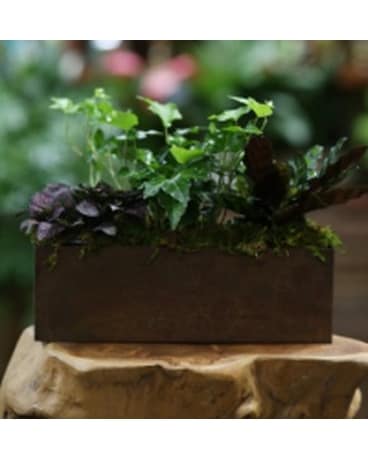 Trio Garden Flower Arrangement