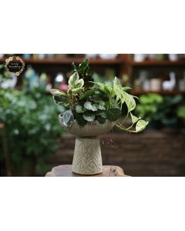 Tribal Inspired Dish Garden Flower Arrangement