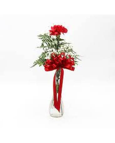 Single Carnation Flower Arrangement