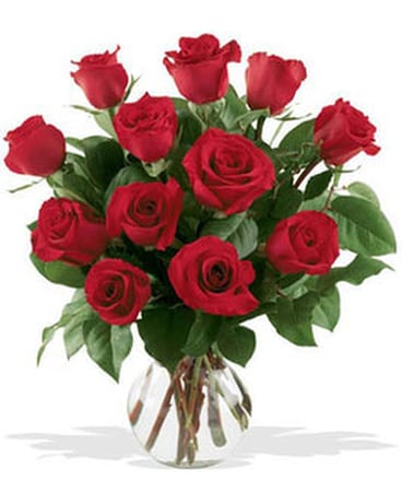 Dozen Roses Flower Arrangement