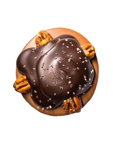 Glacier Chocolate Turtle Gifts