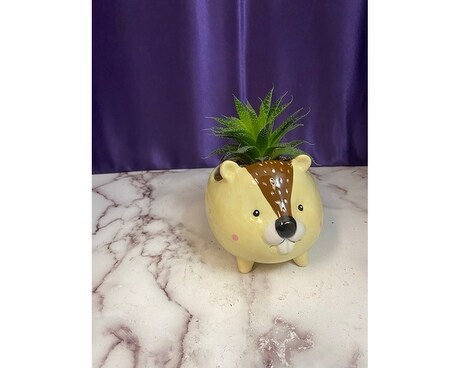 Beaver Planter with Succulent Plant