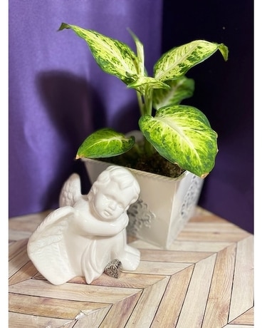 Guardian of My Garden Gifts