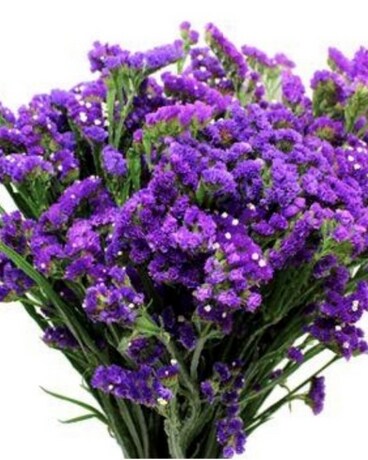 Statice Purple by the Bunch Flower Arrangement