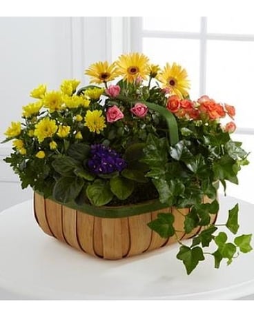 The Gentle Blossoms™ Basket Flower Arrangement