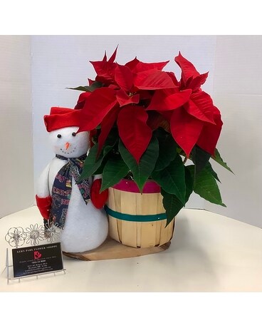Bushel of a Pointsettia  with Snowman Plant