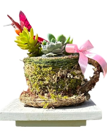 Succulent Hummingbird Teapot Dish Garden Plant