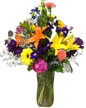 FJ Summer Mixed Fun Seasonal Flowers