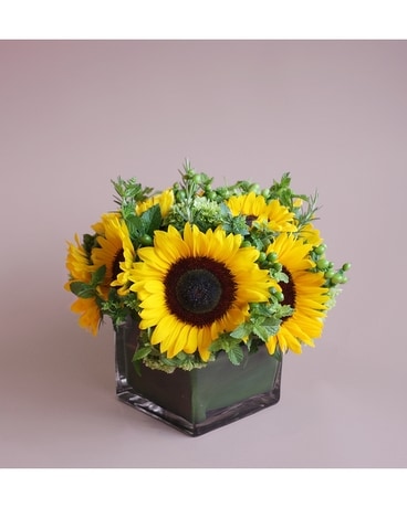 Rays of Sunshine Flower Arrangement
