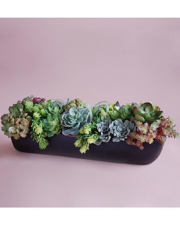 Succulent Dream Flower Arrangement