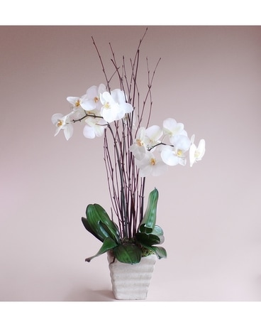 Double Vision Flower Arrangement