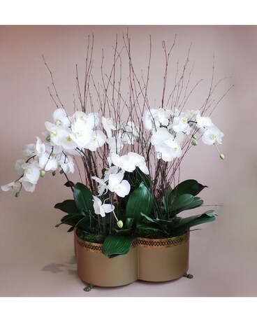 With A Flourish Flower Arrangement